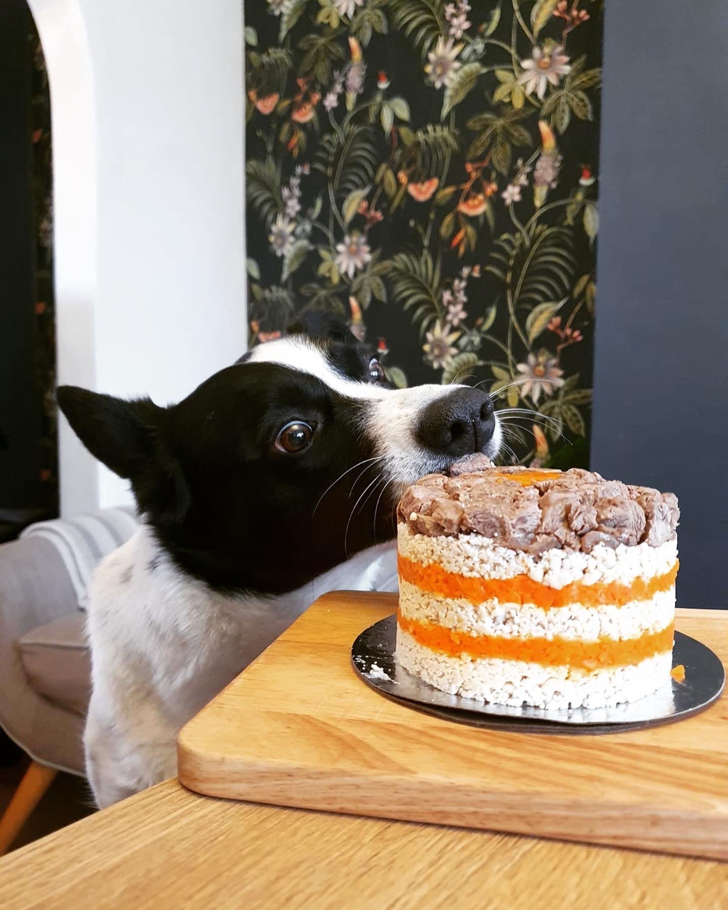 An action shot of a dog about to eat a large layered meat cake on a chopping board