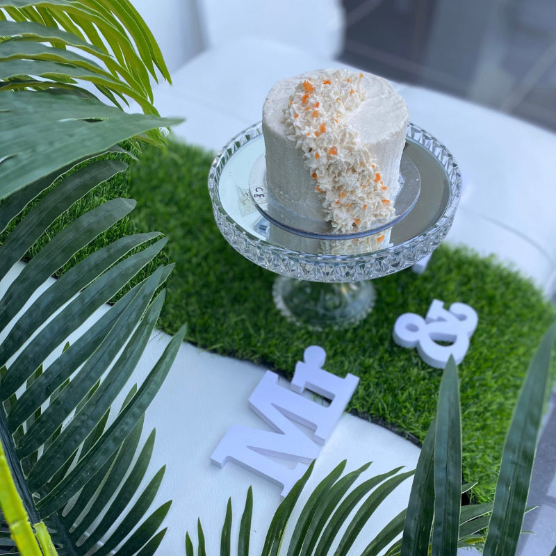 A chicken frosted meat cake for pets on grass