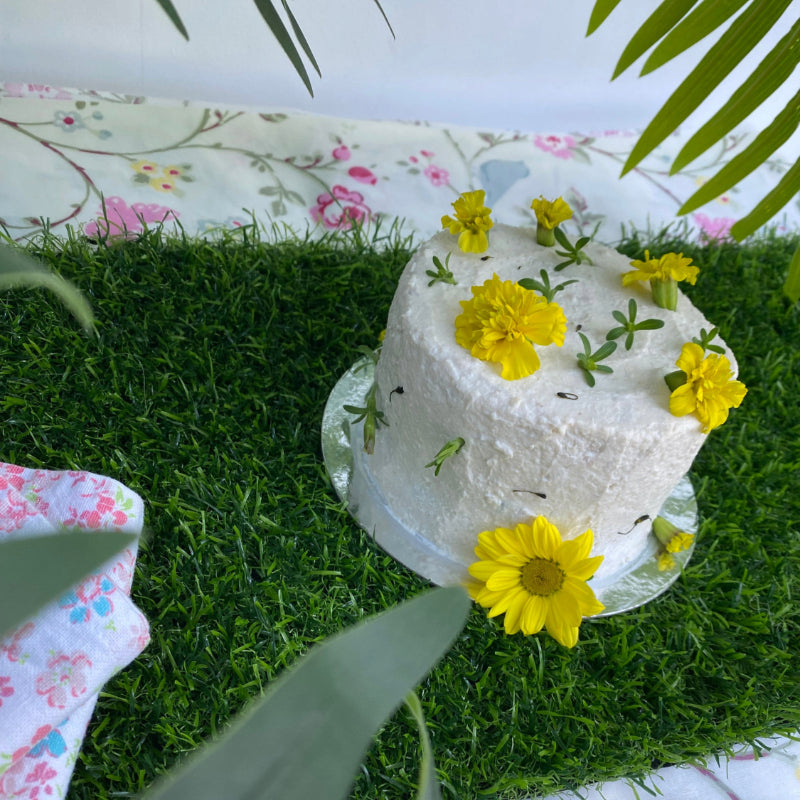 A chicken frosted meat cake for pets on grass