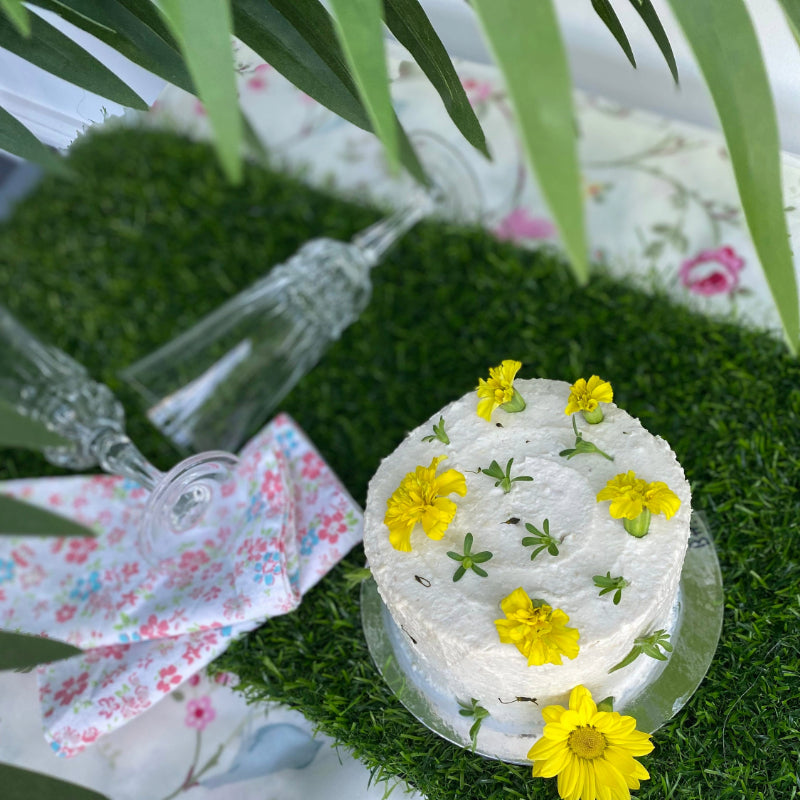 A chicken frosted meat cake for pets on grass