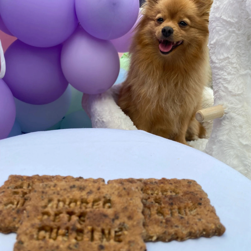 Personalised Dog Gift Hamper - Meat Cupcakes, Interactive Bunting & Beef Biscuits
