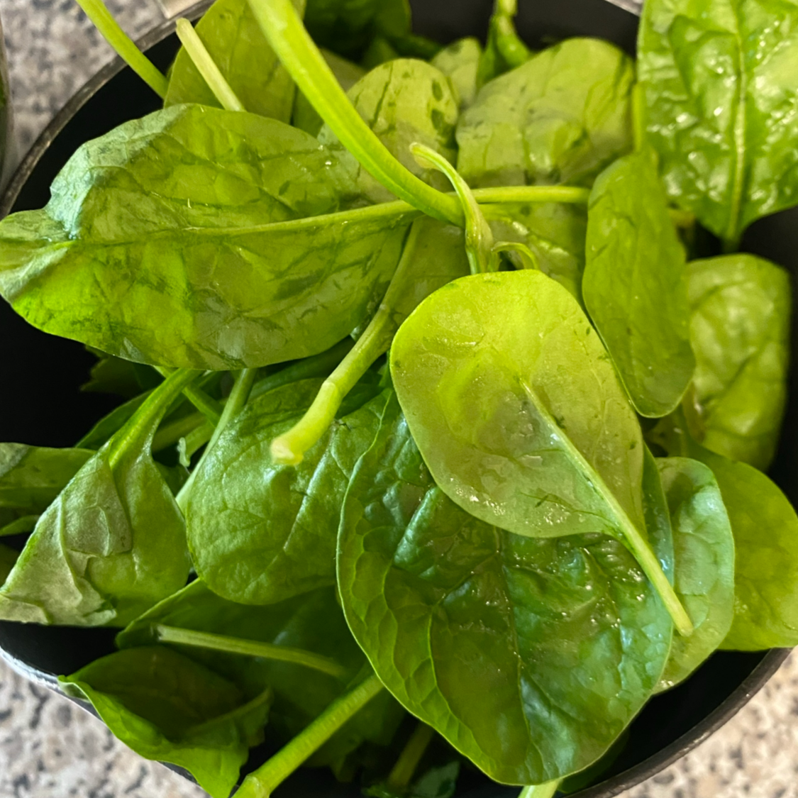 Chicken & Spinach Cake