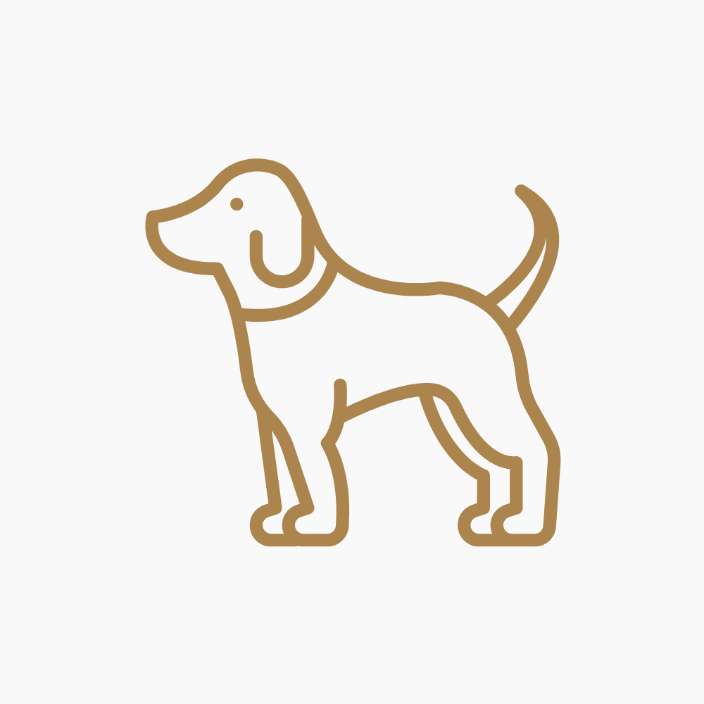 Chicken , Broccoli and Sweet Potato - Pet Meal Plan