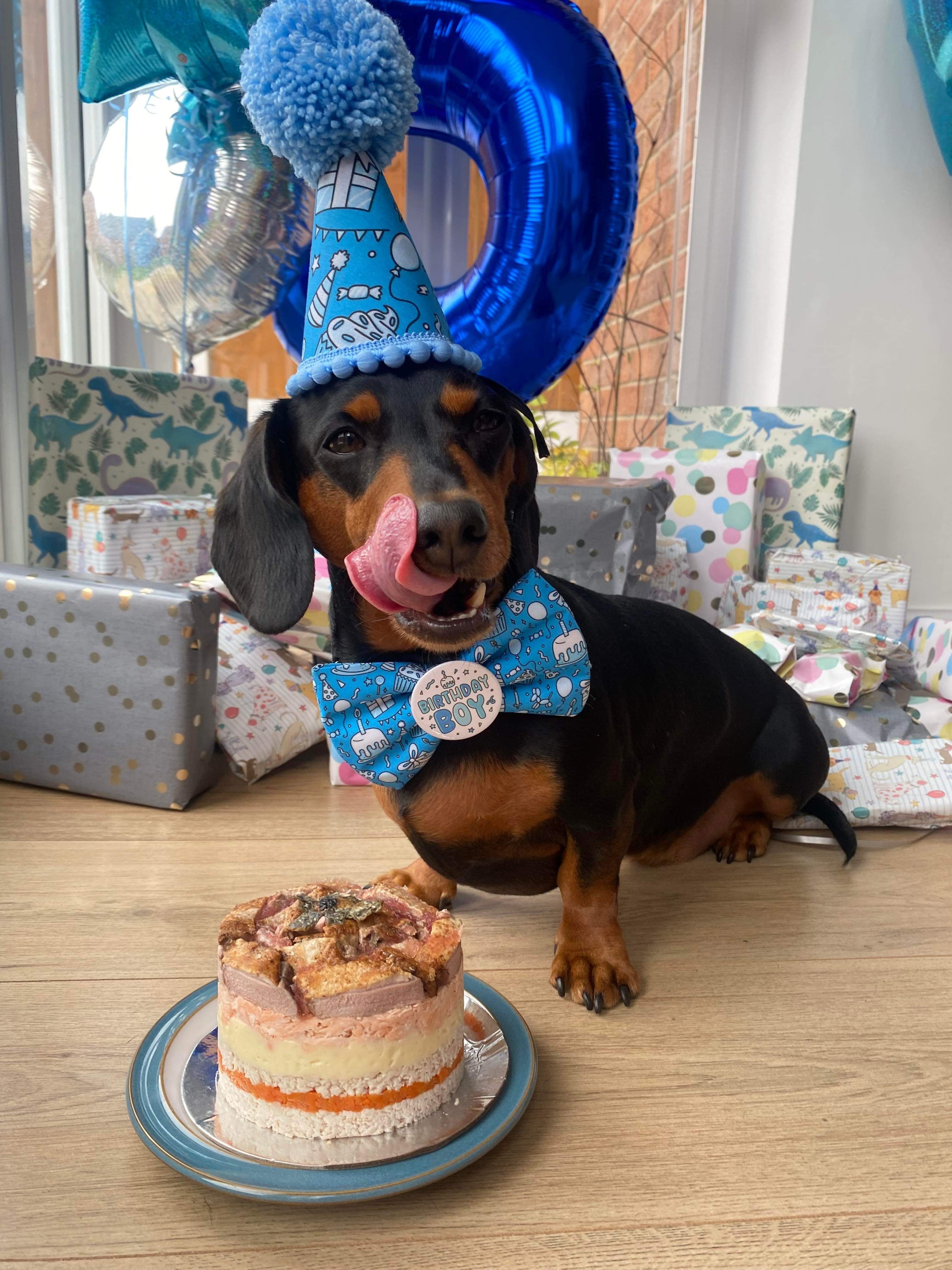 A meat cake on a silver platter with layers of butter baked chicken breast, carrot and salmon, topped with pate, next to a Dachshund dog wearing a bowtie with "Birthday Boy" on it, licking his lips eagerly.