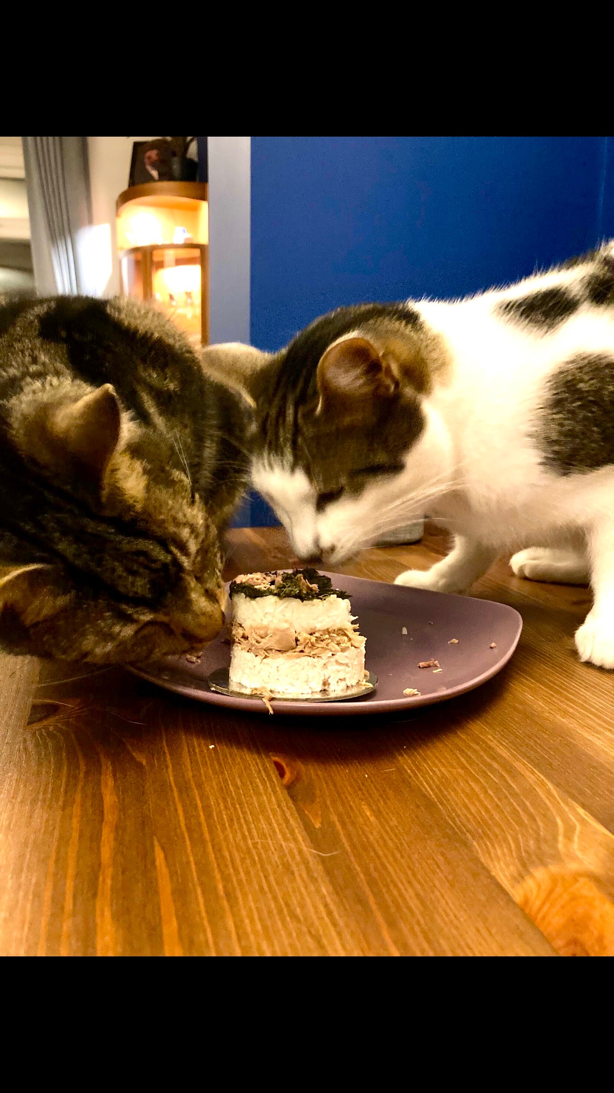An action shot of two cats sniffing a half-eaten meat cupcake