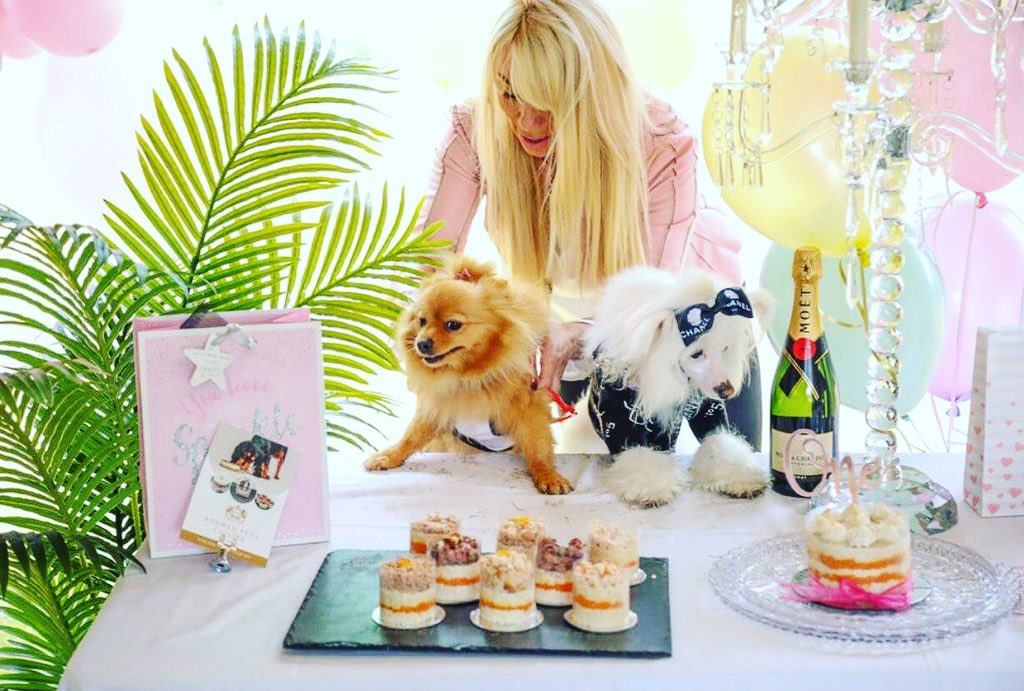 Two hungry looking dogs next to a slate board of meat cupcakes, with birthday decorations