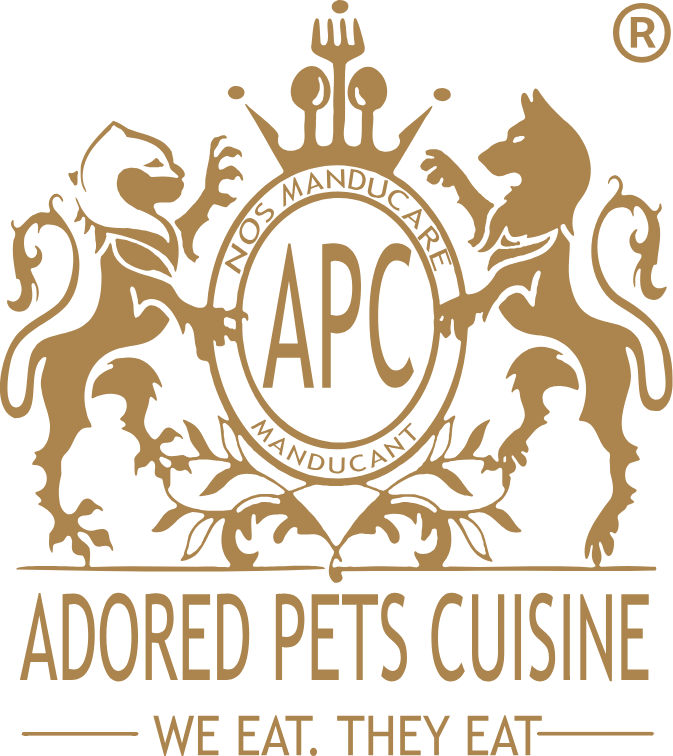 Festive Christmas Parsnip and Herb Stars pack of 6