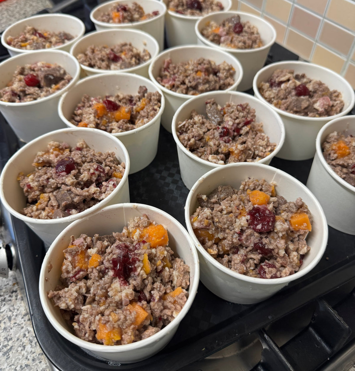 Venison, Bacon, Sweet potato & Cranberry - Meal Box for Dogs and Cats