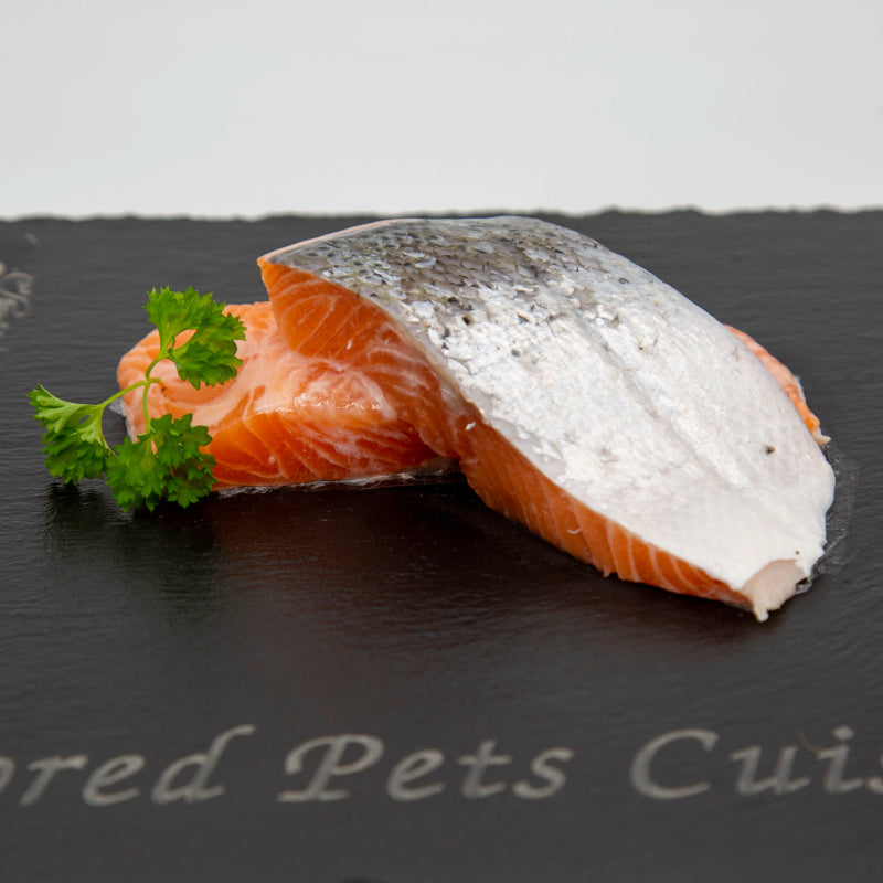 Raw pieces of salmon on a slate board