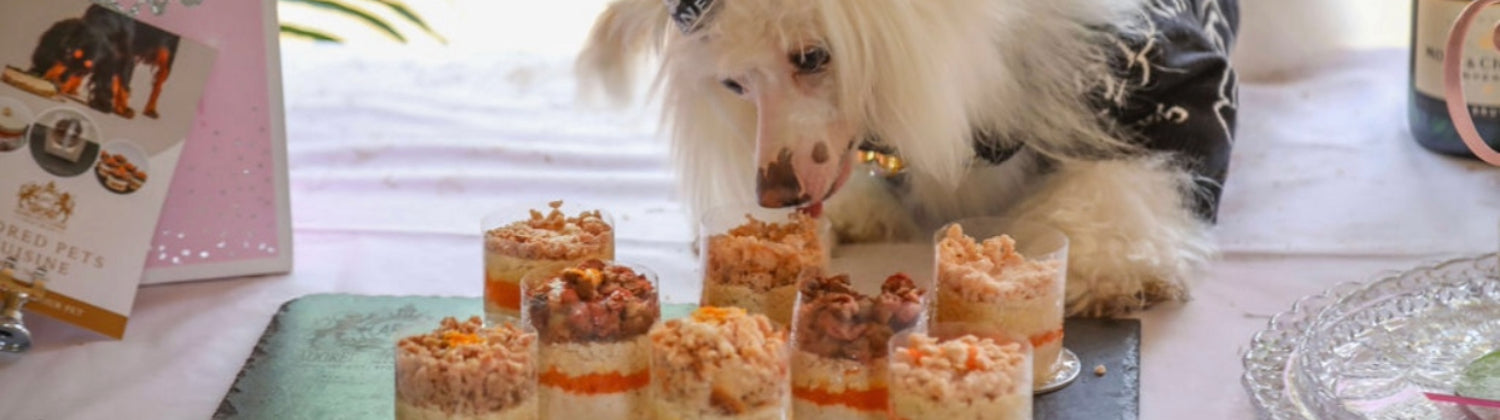 A dog about to eat a meat cupcake from a platter